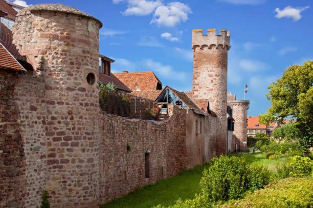 Ancien Mulhouse 101アパートメント エクステリア 写真
